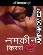 Namkeen Kisse (2024) S01 Part 2 ALTT Hindi Hot Web Series